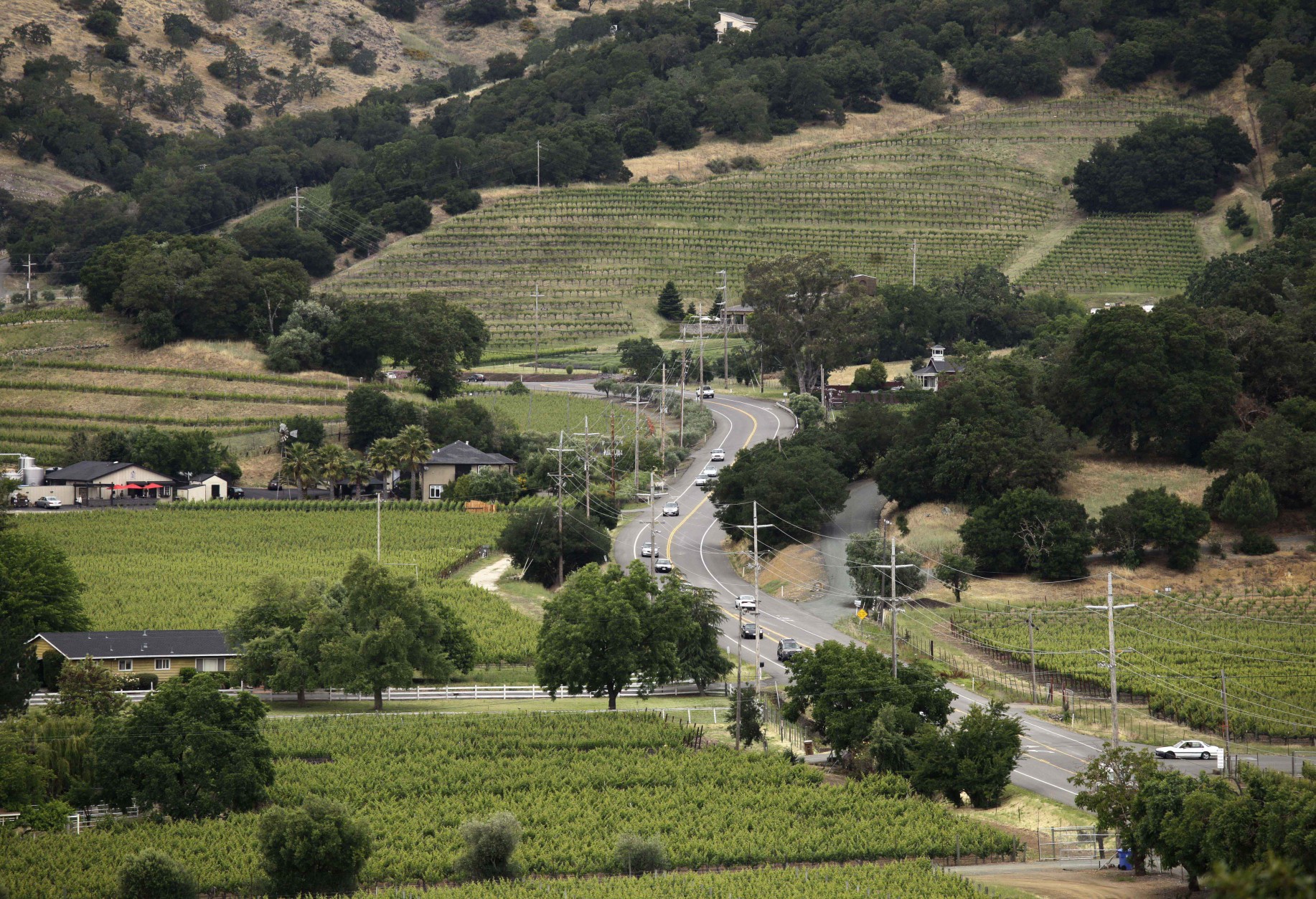 FILE - In this June 2, 2011 file photo, the Silverado Trail winds through the Stags Leap District in this view from Silverado Vineyards in Napa, Calif.The trail more or less runs parallel to Highway 29 but is quieter, winding through green vistas of vineyards and rolling hills. Wineries along this route include Mumm Napa Valley. (AP Photo/Eric Risberg, File)