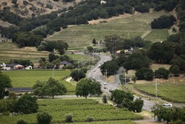 FILE - In this June 2, 2011 file photo, the Silverado Trail winds through the Stags Leap District in this view from Silverado Vineyards in Napa, Calif.The trail more or less runs parallel to Highway 29 but is quieter, winding through green vistas of vineyards and rolling hills. Wineries along this route include Mumm Napa Valley. (AP Photo/Eric Risberg, File)