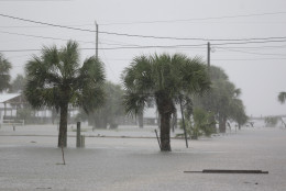 Ground water begins to flood some low areas as Tropical Storm Hermine heads inland Thursday, Sept. 1, 2016, in Dekle Beach, Fla. A hurricane warning was in effect for Florida's Big Bend from the Suwannee River to Mexico Beach. (AP Photo/John Raoux)