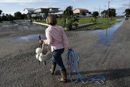 Nancy Geohagen picks up some of her belongings after her home was damaged by Hurricane Hermine when it came ashore Friday, Sept. 2, 2016, in , Fla.  Hermine was downgraded to a tropical storm after it made landfall, as it moves over Georgia, but the U.S. National Hurricane Center says winds are increasing along the Southeast coast and flooding rains continue.  (AP Photo/Chris O'Meara)