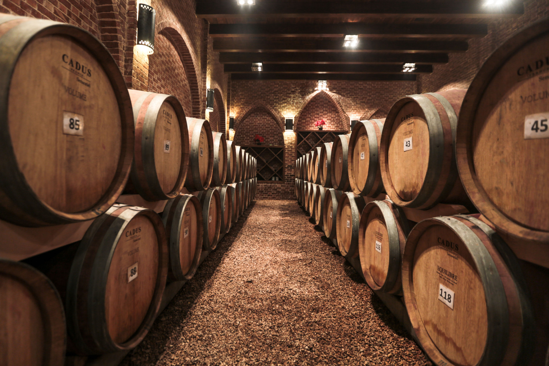 In this Wednesday, May 27, 2015 photo, oak barrels imported from France are stored in a barrel room, where produced wines are aged for at least 6 months, at the Gianaclis winery, one of Egypt's main wineries, in the Nile Delta, north of Cairo, Egypt. (AP Photo/Mosa'ab Elshamy)