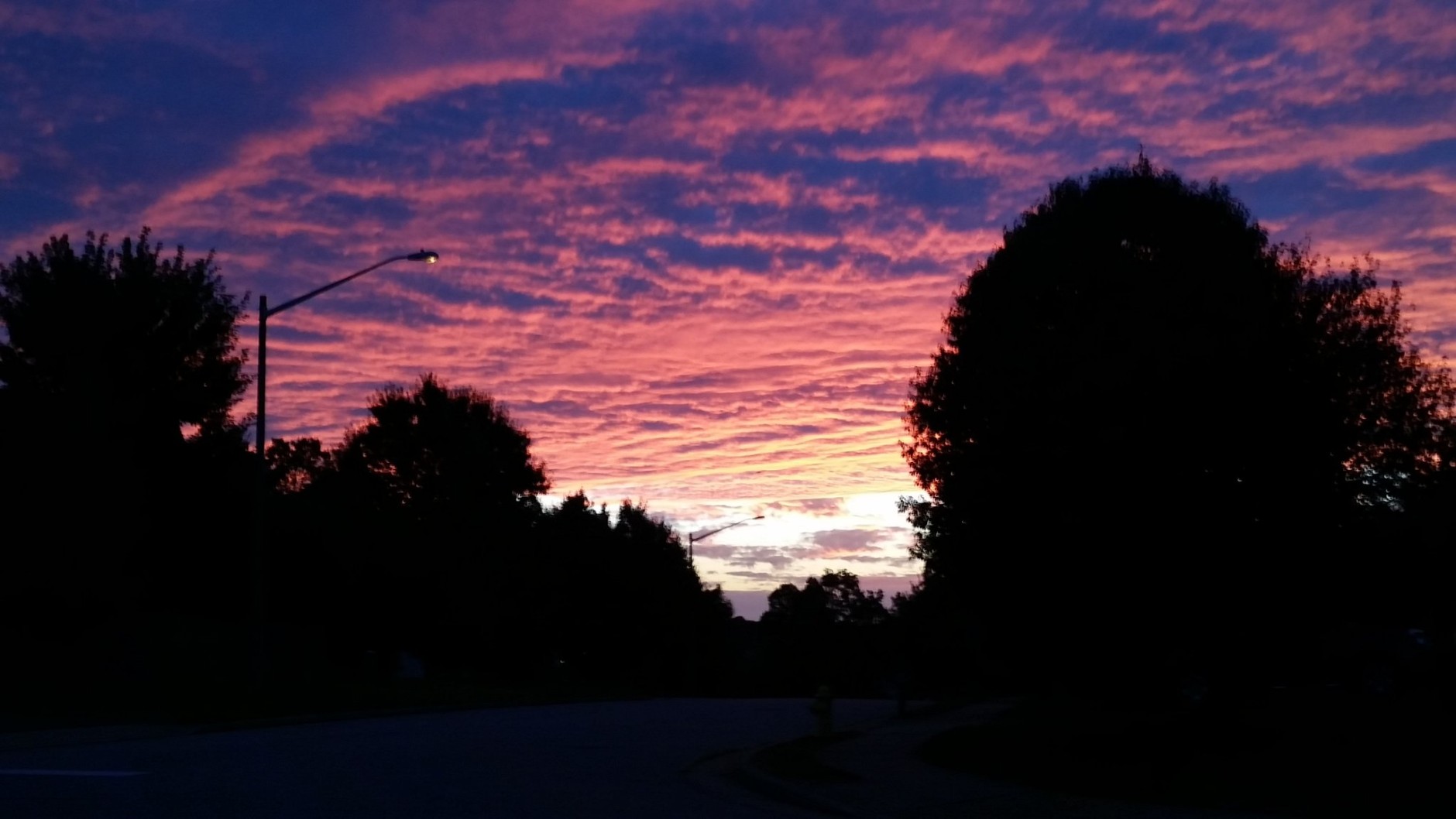 Saturday's mild weather melts into a stunning evening sky near D.C. (WTOP/Kathy Stewart)