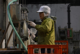 HIMEJI, JAPAN - NOVEMBER 16:  Misa Kawaisi, chief sake brew master, fills sake bottles at Nadagiku-Shozo sake brewery on November 16, 2012 in Himeji, Japan. Kawaishi, one of a few female sake brew masters, is a unique figure in male-diminated sake brewers world. (Photo by Buddhika Weerasinghe/Getty Images)
