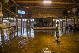SAINT MARKS, FL - SEPTEMBER 01: Brian Mugrage watches the weather on TV inside the Riverside Cafe flooded by the storm surge from Hurricane Hermine on September 1, 2016 in Saint Marks, Florida.  Hurricane warnings have been issued for parts of Florida's Gulf Coast as Hermine is expected to make landfall as a Category 1 hurricane (Photo by Mark Wallheiser/Getty Images)