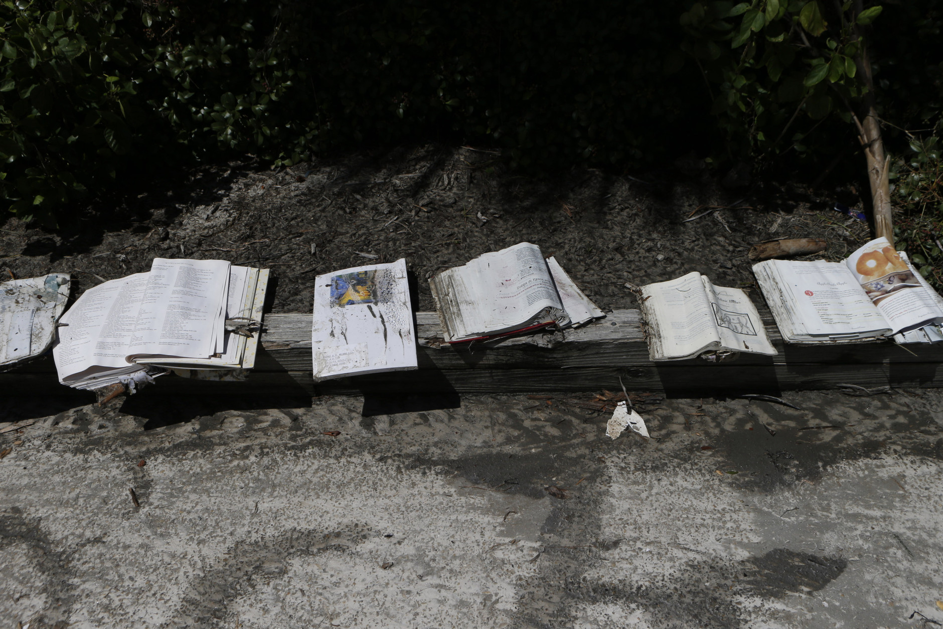 CEDAR KEY, FL - SEPTEMBER 2:  Saltwater-soaked books are left to dry in the sun in the parking lot of the Cedar Cove resort after being damaged by the winds and storm surge associated with Hurricane Hermine which made landfall overnight in the area on September 2, 2016 in Cedar Key, Florida. Hermine made landfall as a Category 1 hurricane but has weakened back to a tropical storm. (Photo by Brian Blanco/Getty Images)