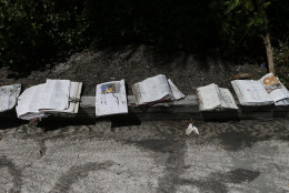 CEDAR KEY, FL - SEPTEMBER 2:  Saltwater-soaked books are left to dry in the sun in the parking lot of the Cedar Cove resort after being damaged by the winds and storm surge associated with Hurricane Hermine which made landfall overnight in the area on September 2, 2016 in Cedar Key, Florida. Hermine made landfall as a Category 1 hurricane but has weakened back to a tropical storm. (Photo by Brian Blanco/Getty Images)