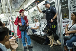 NEW YORK, NY - SEPTEMBER 18: A member of the New York City Police Department K-9 Unit patrols on a subway train between Grand Central Terminal and Times Square, September 18, 2016 in New York City. Following Saturday night's explosion in the Chelsea neighborhood of Manhattan, Mayor Bill de Blasio has promised a 'substantial' police presence throughout the week. New York Governor Andrew Cuomo also said an additional 1,000 New York State and National Guard troops will patrol transit stations and airports as a precaution. (Photo by Drew Angerer/Getty Images)