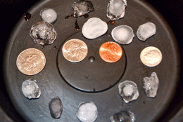Hailstones (note the size) fell on Friendship Heights and all over the area. (WTOP/Dave Dildine)
