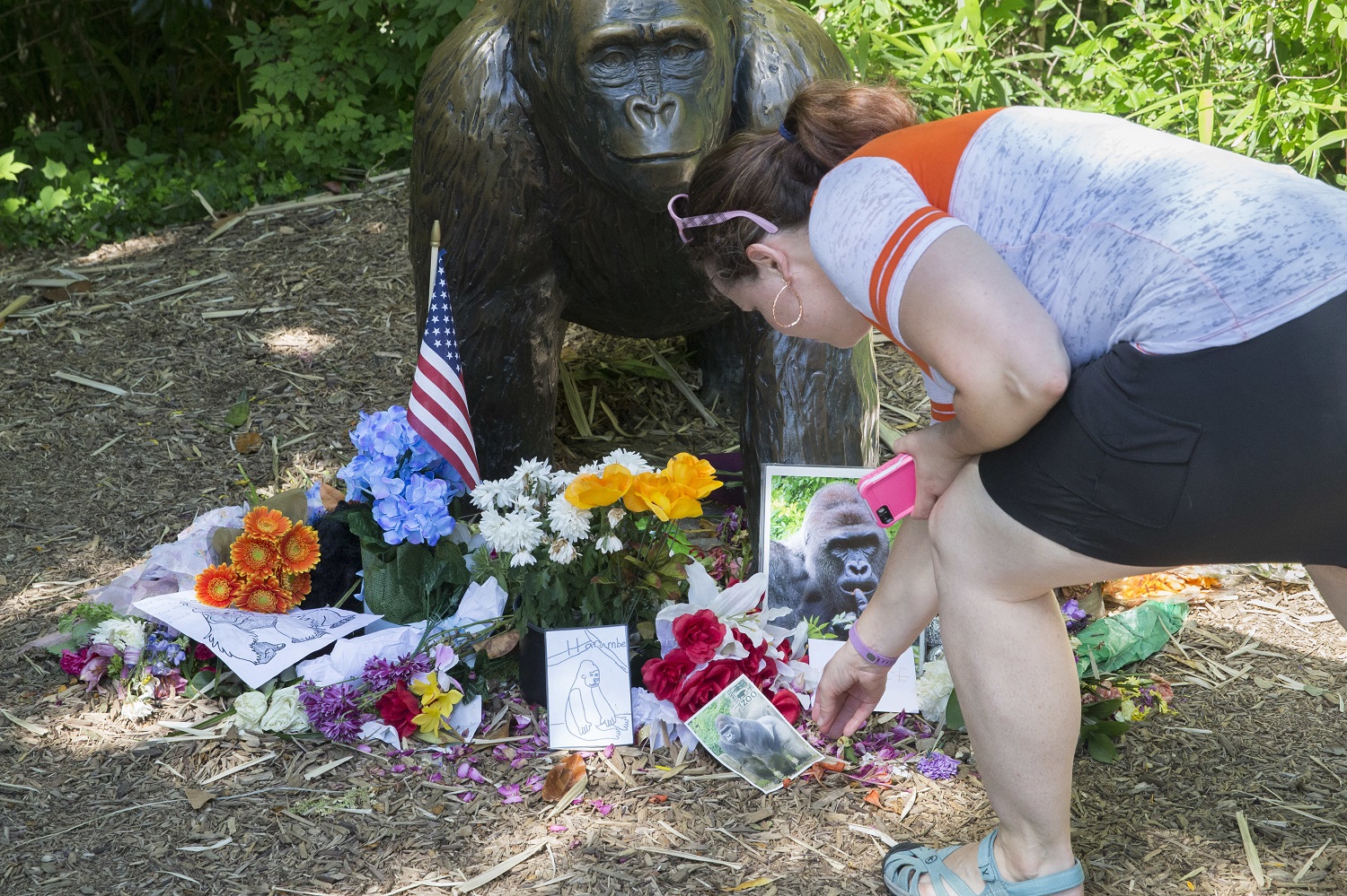 A visitor touches a picture of Harambe, a male silverback gorilla, at a makeshift memorial outside the Gorilla World exhibit at the Cincinnati Zoo &amp; Botanical Garden, Tuesday, June 7, 2016, in Cincinnati. The Cincinnati Zoo reopened its gorilla exhibit Tuesday with a higher, reinforced barrier installed after a young boy got into the exhibit and was dragged by the 400-pound Harambe, which was then shot and killed. (AP Photo/John Minchillo)