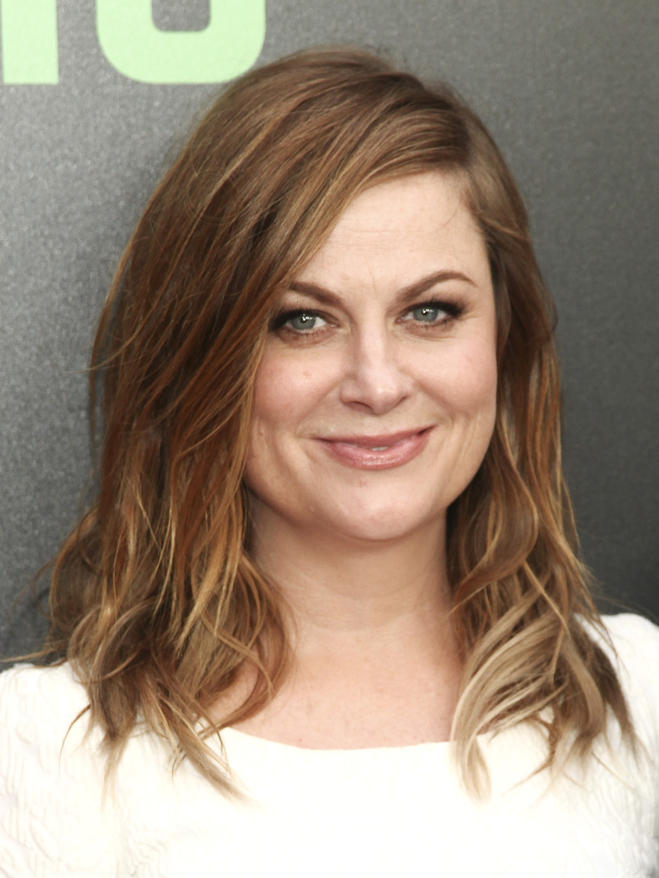Amy Poehler attends the premiere of Hulu's "Difficult People" on Monday, July 11, 2016, in New York. (Photo by Andy Kropa/Invision/AP)
