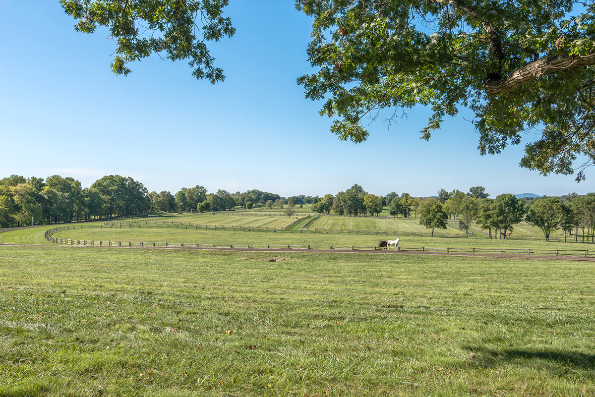 In this photo provided by Thomas and Talbot Real Estate, horses graze at the Wexford Estate, the more than 166-acre property a few miles from Middleburg that was once a retreat for the Kennedy family. Jacqueline Kennedy Onassis designed the yellow house that sits nesteled among the rolling hill and was built in 1963. (Courtesy Thomas and Talbot Real Estate and Mona Botwick Photography)