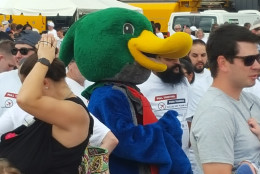 One of several Plane Pull participants -- duck included -- in line at Dulles International Airport on Saturday, Sept. 17, 2016. (WTOP/Ralph Fox)