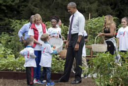 President Barack Obama, joins first lady Michelle Obama, children and participants during surprise visit at the harvest of the White House Kitchen Garden on the South Lawn in Washington, Thursday, Oct. 6, 2016. Carrying a basket, back right, is singer Ashanti. (AP Photo/Manuel Balce Ceneta)