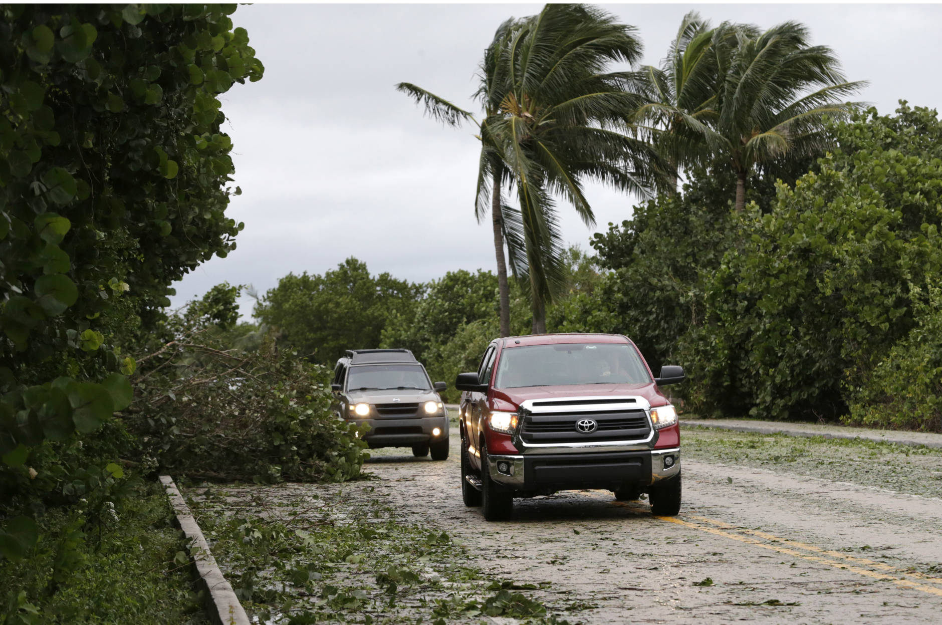 Cars avoid a tree limb on a leaf-strewn road after Hurricane Matthew passed off shore, Friday, Oct. 7, 2016, in Jupiter, Fla.  Matthew was downgraded to a Category 3 hurricane overnight with the strongest winds of 120 mph just offshore as the storm pushed north, threatening hundreds of miles of coastline in Florida, Georgia and South Carolina.  (AP Photo/Wilfredo Lee)