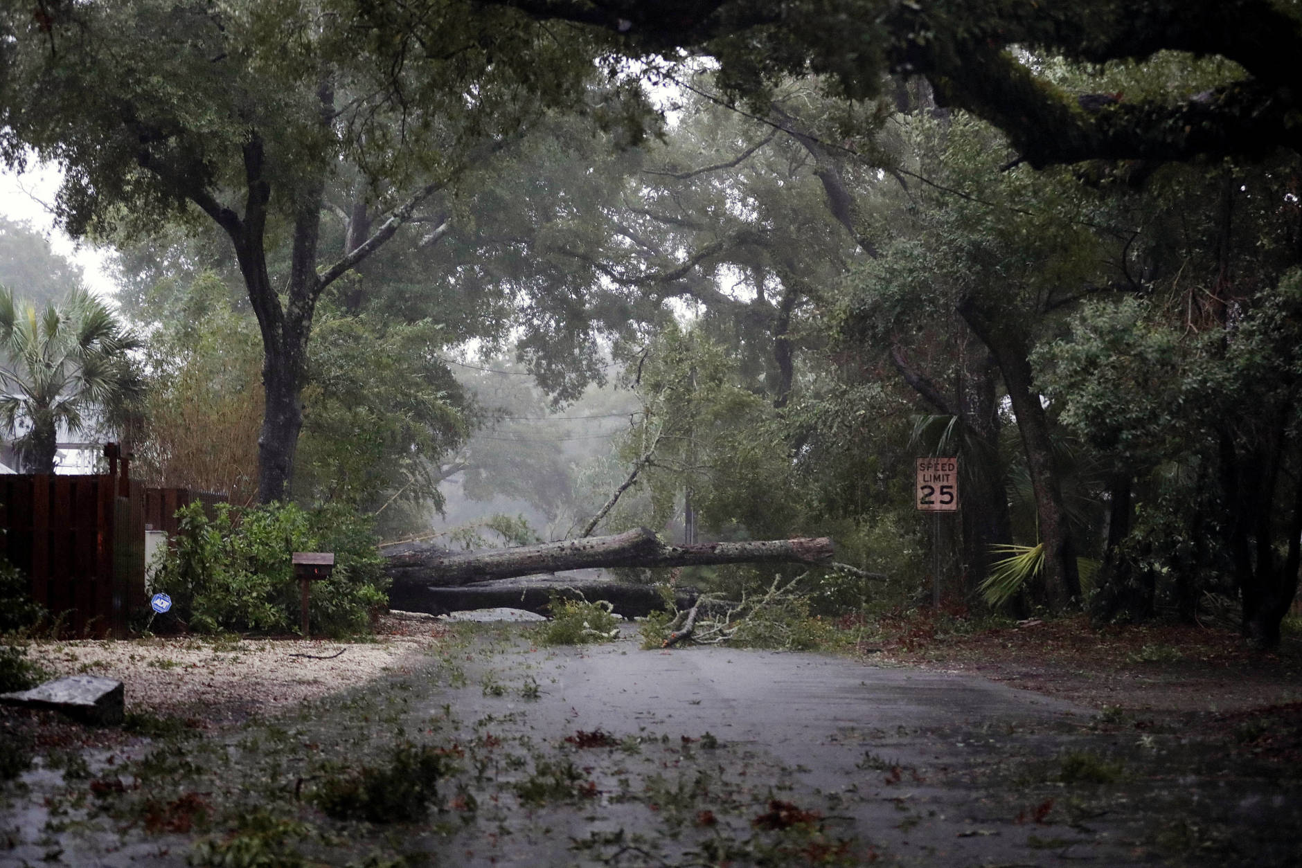 A fallen tree from Hurricane Matthew blocks the road on St. Simons Island, Ga., after residents were ordered to evacuate, Friday, Oct. 7, 2016. (AP Photo/David Goldman)