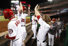 Washington Nationals' Daniel Murphy (20) celebrates in the dugout with teammates Jayson Werth (28) and Bryce Harper (34) after scoring during the second inning in Game 5 of baseball's National League Division Series against Los Angeles Dodgers, at Nationals Park, Thursday, Oct. 13, 2016, in Washington. (AP Photo/Alex Brandon)