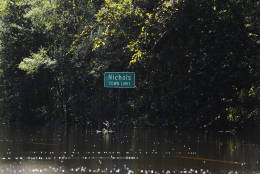 A Nichols town limit sign is seen surrounded by floodwater on Tuesday, Oct. 11, 2016, in Nichols, S.C. About 150 people were rescued by boats from flooding in the riverside village of Nichols on Monday. (AP Photo/Rainier Ehrhardt)