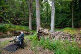 The Green Road Project is a 2-acre woodland area on the Walter Reed National Military Medical Center campus, aimed to help wounded service members recover. (Lisa Helfert/The Green Road Project)