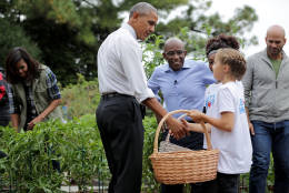 WASHINGTON, DC - OCTOBER 06:  (L-R) U.S. first lady Michelle Obama, President Barack Obama, NBC Today show host Al Roker and NBC News senior food analyst Sam Kass work with students to harvest the White House Kitchen Garden on the South Lawn of the White House October 6, 2016 in Washington, DC. Students from across the country were invited to help pull vegetables and greens from the garden which was established by first lady MIchelle Obama in the spring of 2009. The garden is now a permanent feature on the White House grounds.  (Photo by Chip Somodevilla/Getty Images)