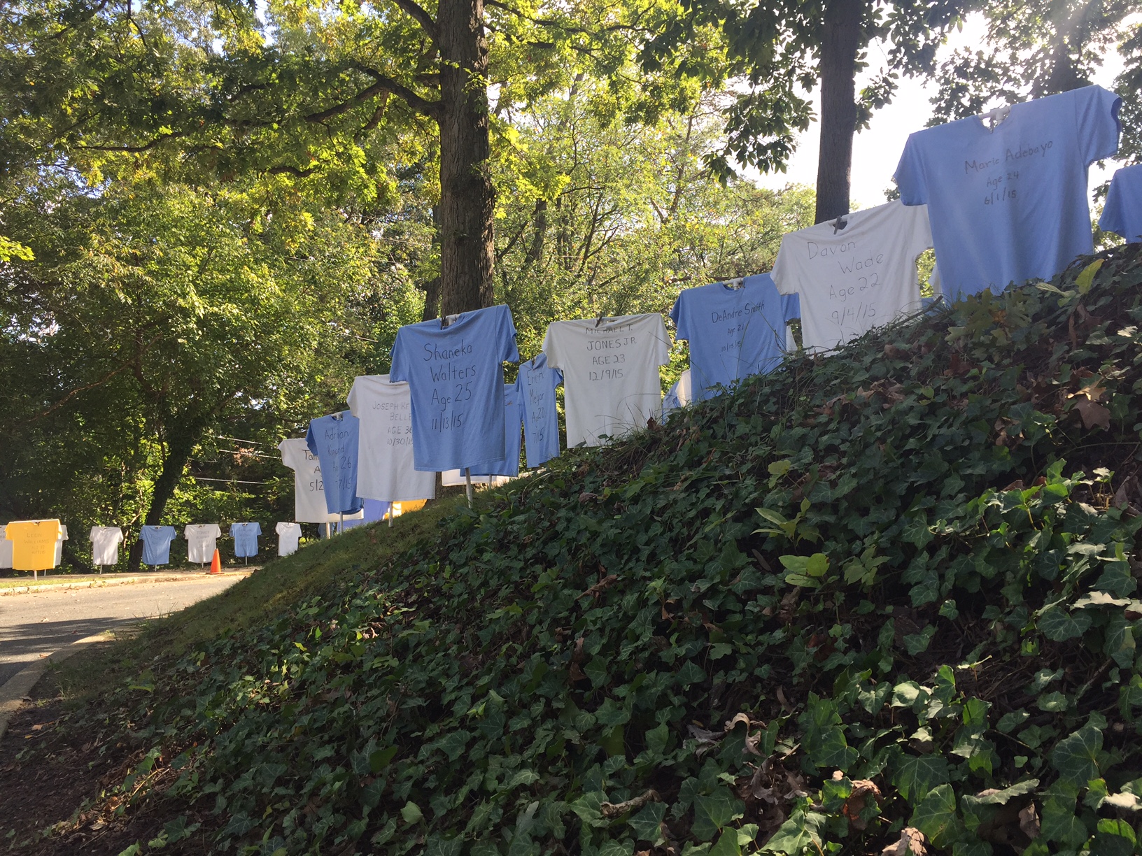 The 200 T-Shirts line both sides of the driveway up to the temple. (WTOP/Megan Cloherty)