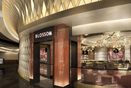 This artists rendering shows the Blossom Cocktail Lounge was inspired by the District's famous chery blossoms. A second venue, called Felt Bar &amp; Lounge also will offer cocktails. (Courtesy MGM National Harbor)
