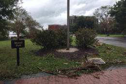 Damage at a park from Hurricane Matthew on Saturday, Oct. 8, 2016, in Savannah, Ga. (WTOP/Steve Dresner)