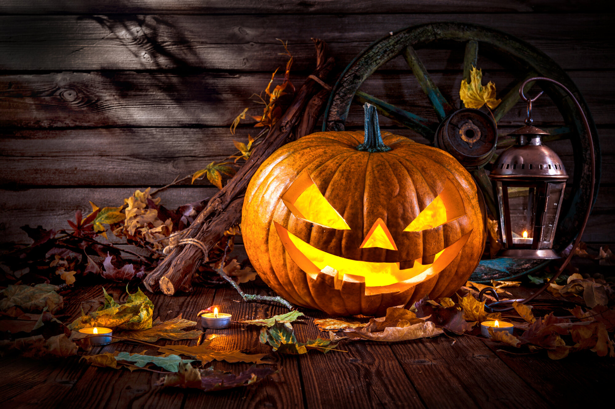 10 haunted Halloween happenings in the DC area WTOP News