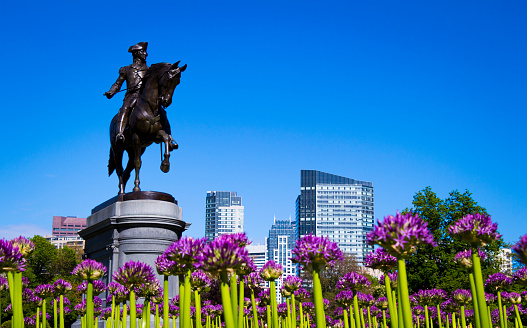 6. Boston, Massachusetts
Historic Boston lands at No. 6 in Conde Nast Traveler's "The Best Big U.S. Cities." (Getty Images/iStockphoto/TBerrigan)