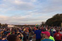 The scene at the 41st Marine Corps Marathon. (WTOP/Sarah Beth Hensley)