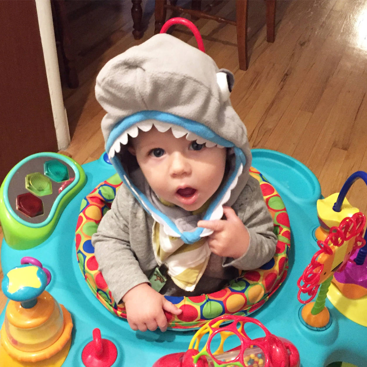 WTOP Living Editor Rachel Nania's adorable little Shark, Isaac, 8 month old.