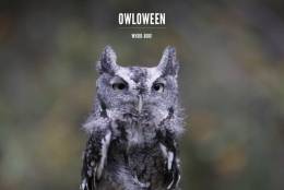 It's 'OWLoween,' courtesy of WTOP's Kate Ryan.