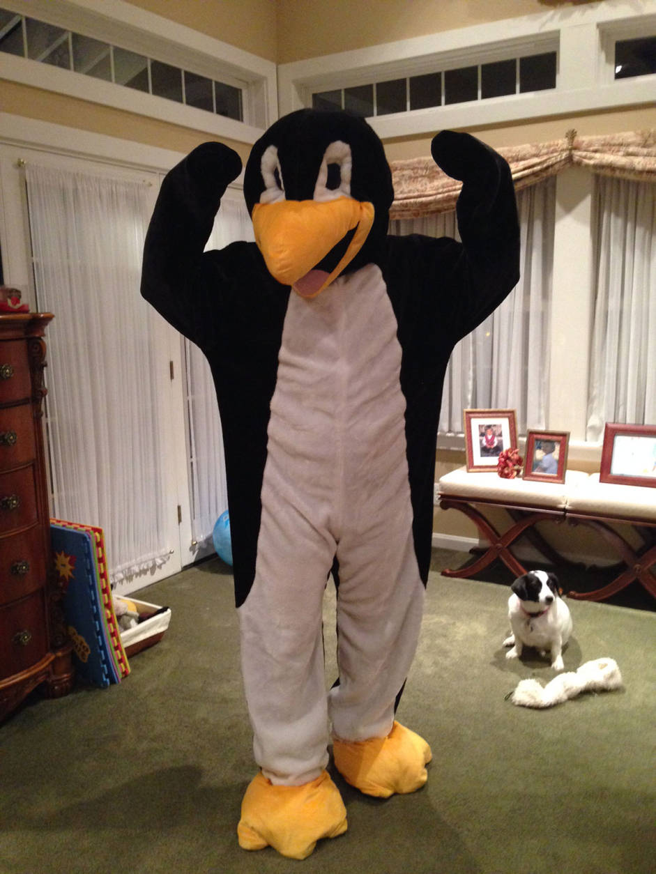 "I'm married to a penguin!" (Diane Pelton)