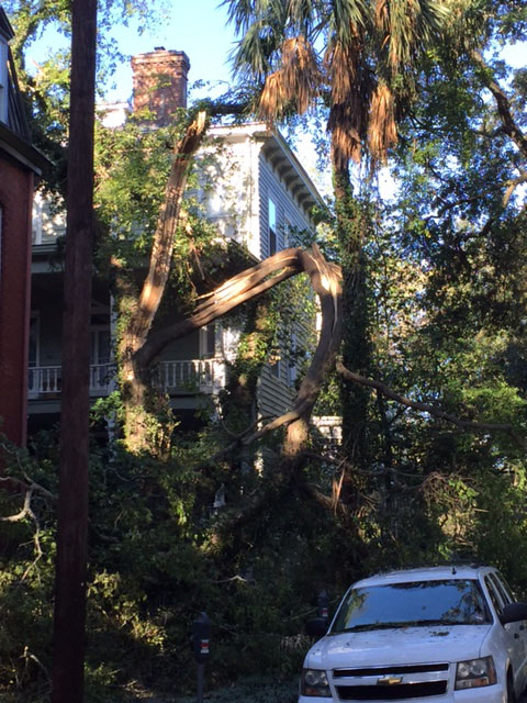 Hurricane Matthew causes damage in Savannah, Georgia. (WTOP/Steve Dresner)