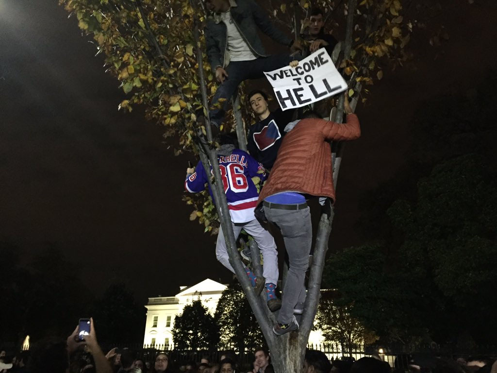 People climb a tree as crowds gather in front of the White House. (WTOP/Michelle Basch)