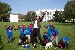 Oct. 28, 2013
"Amanda Lucidon made this photograph of the First Lady as she participated in a filming for the Animal Planet Puppy Bowl on the South Lawn of the White House." 
(Official White House Photo by Amanda Lucidon)

This official White House photograph is being made available only for publication by news organizations and/or for personal use printing by the subject(s) of the photograph. The photograph may not be manipulated in any way and may not be used in commercial or political materials, advertisements, emails, products, promotions that in any way suggests approval or endorsement of the President, the First Family, or the White House.