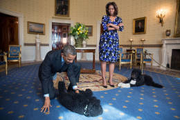 President Barack Obama and First Lady Michelle Obama, joined by family pets Sunny and Bo, wait to greet visitors in the Blue Room during a White House tour, Nov. 5, 2013. (Official White House Photo by Pete Souza)

This official White House photograph is being made available only for publication by news organizations and/or for personal use printing by the subject(s) of the photograph. The photograph may not be manipulated in any way and may not be used in commercial or political materials, advertisements, emails, products, promotions that in any way suggests approval or endorsement of the President, the First Family, or the White House.