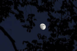 The moon rises over Dallas, Texas, Friday evening, Nov. 11, 2016. The upcoming supermoon, on Nov. 14, will be especially "super" because it's the closest full moon to Earth since 1948. We won't see another supermoon like this until 2034. The biggest and brightest moon for observers in the United States will be on Monday morning just before dawn. (AP Photo/Benny Snyder)