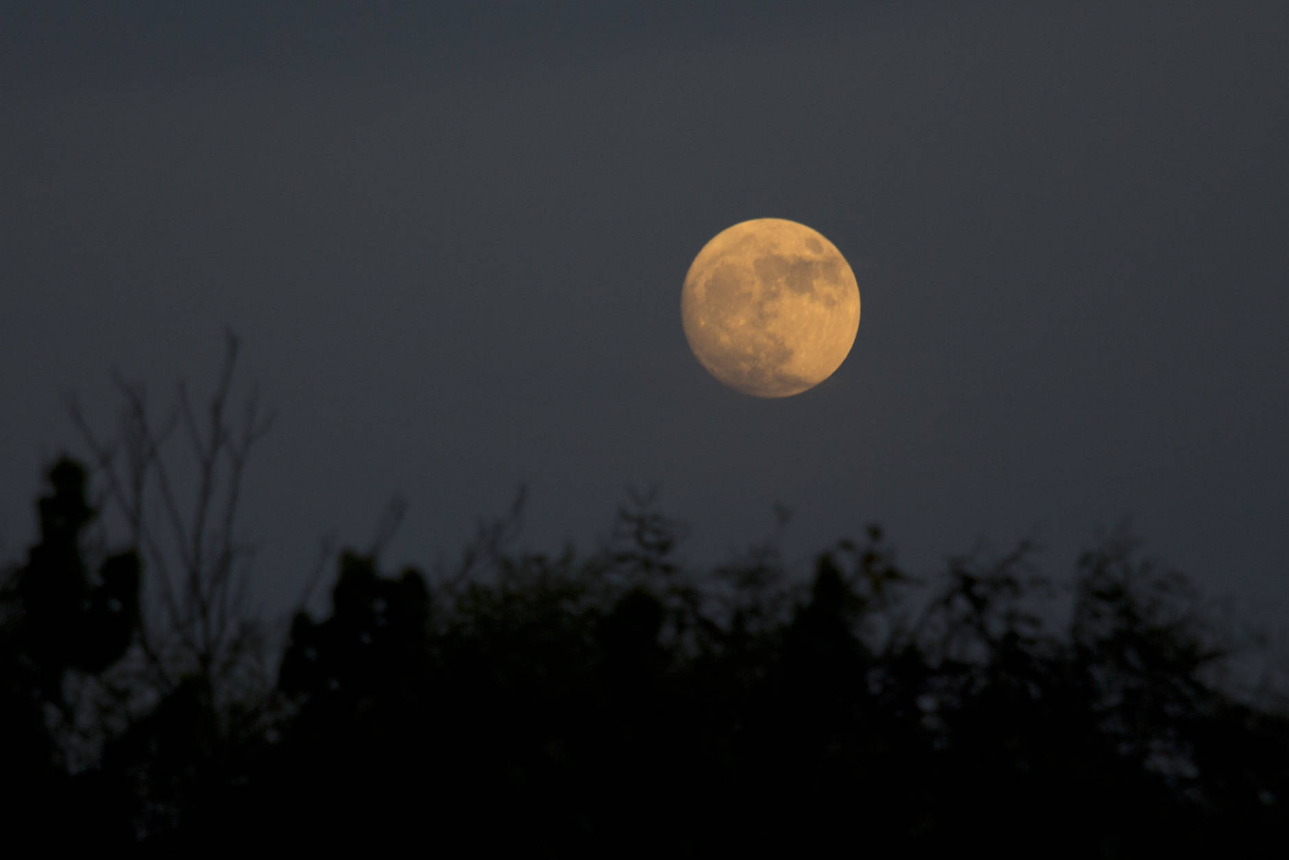 The moon rises over Hefer Valley in Israel, Sunday, Nov. 13, 2016. The upcoming supermoon, on Nov. 14, will be especially "super" because it's the closest full moon to Earth since 1948. (AP Photo/Ariel Schalit)