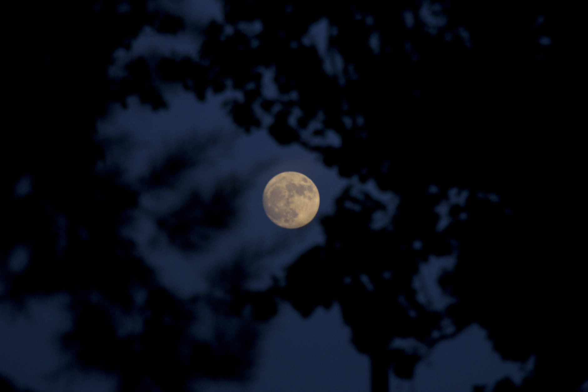 The moon rises over Hefer Valley in Israel, Sunday, Nov. 13, 2016. The upcoming supermoon, on Nov. 14, will be especially "super" because it's the closest full moon to Earth since 1948. (AP Photo/Ariel Schalit)