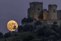 The moon rises behind the castle of Almodovar in Cordoba, southern Spain, on Sunday, Nov. 13, 2016. The Supermoon on November 14, 2016, will be the closest a full moon has been to Earth since January 26, 1948. (AP Photo/Miguel Morenatti)