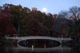 The moon is seen in its waxing gibbous stage as it rises, with the Rainbow Bridge in New York's Central Park in the foreground, Sunday, Nov. 13, 2016. (AP Photo/Julio Cortez)