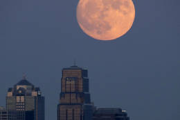 The moon rises beyond downtown buildings Sunday, Nov. 13, 2016, in Kansas City, Mo. Monday's supermoon will be extra super — it will be the closest the moon comes to us in almost 69 years. And it won't happen again for another 18 years. (AP Photo/Charlie Riedel)