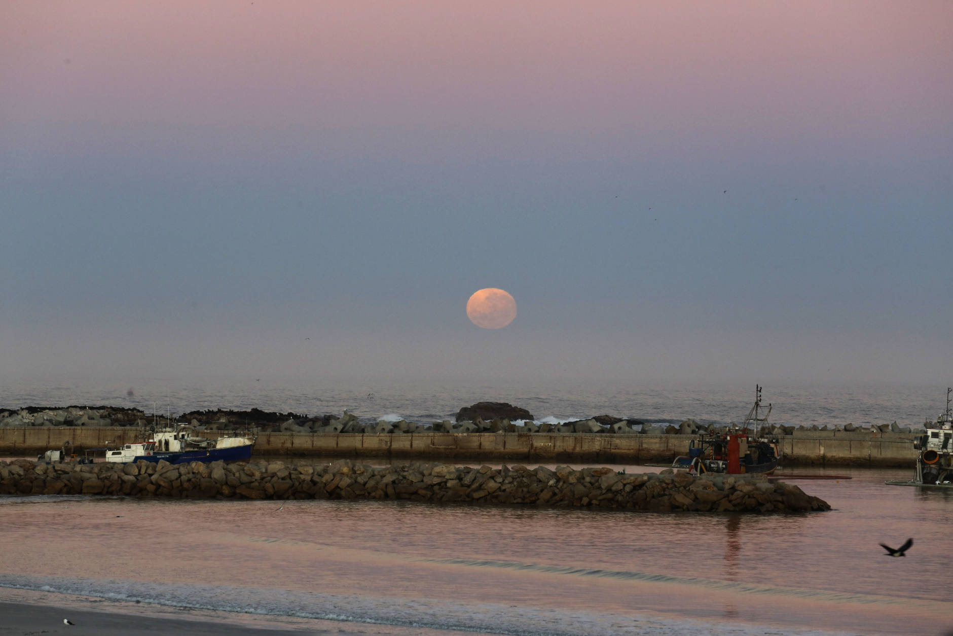 The moon rises over the harbor of the costal town of Lambert's Bay, South Africa, Monday, Nov. 14, 2016. The brightest moon in almost 69 years will be lighting up the sky this week in a treat for star watchers around the globe. (AP Photo/Schalk van Zuydam)