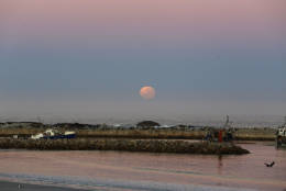 The moon rises over the harbor of the costal town of Lambert's Bay, South Africa, Monday, Nov. 14, 2016. The brightest moon in almost 69 years will be lighting up the sky this week in a treat for star watchers around the globe. (AP Photo/Schalk van Zuydam)