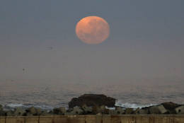 The moon rises over the harbor of the costal town of Lambert's Bay, South Africa, Monday, Nov. 14, 2016. The brightest moon in almost 69 years will be lighting up the sky this week in a treat for star watchers around the globe. (AP Photo/Schalk van Zuydam)