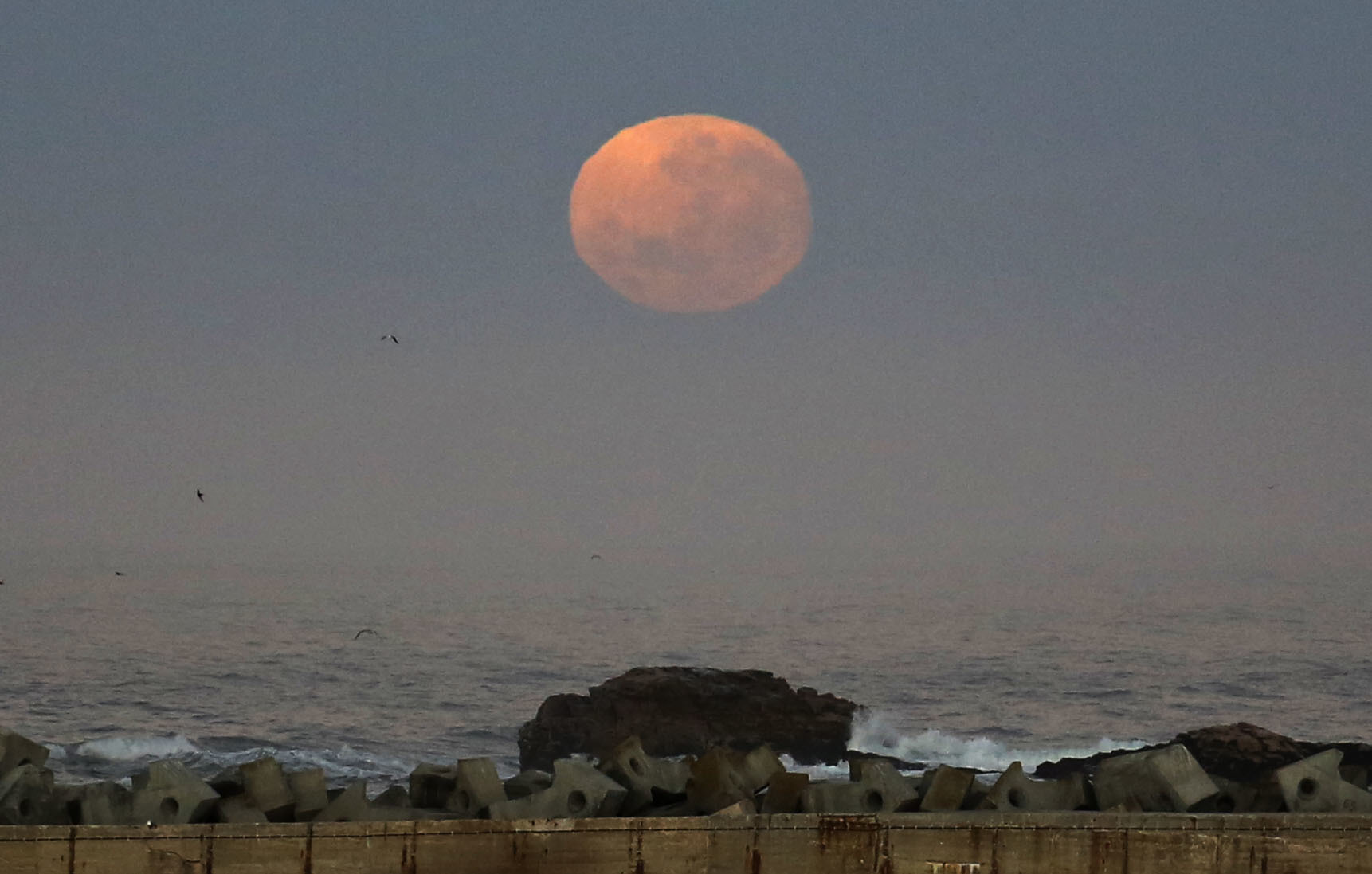 The moon rises over the harbor of the costal town of Lambert's Bay, South Africa, Monday, Nov. 14, 2016. The brightest moon in almost 69 years will be lighting up the sky this week in a treat for star watchers around the globe. (AP Photo/Schalk van Zuydam)