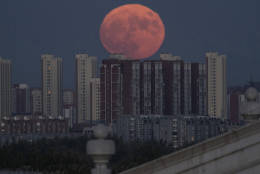 The moon rises from behind apartment buildings in Beijing, China, Monday, Nov. 14, 2016. The brightest moon in almost 69 years will be lighting up the sky this week in a treat for star watchers around the globe. (AP Photo/Ng Han Guan)