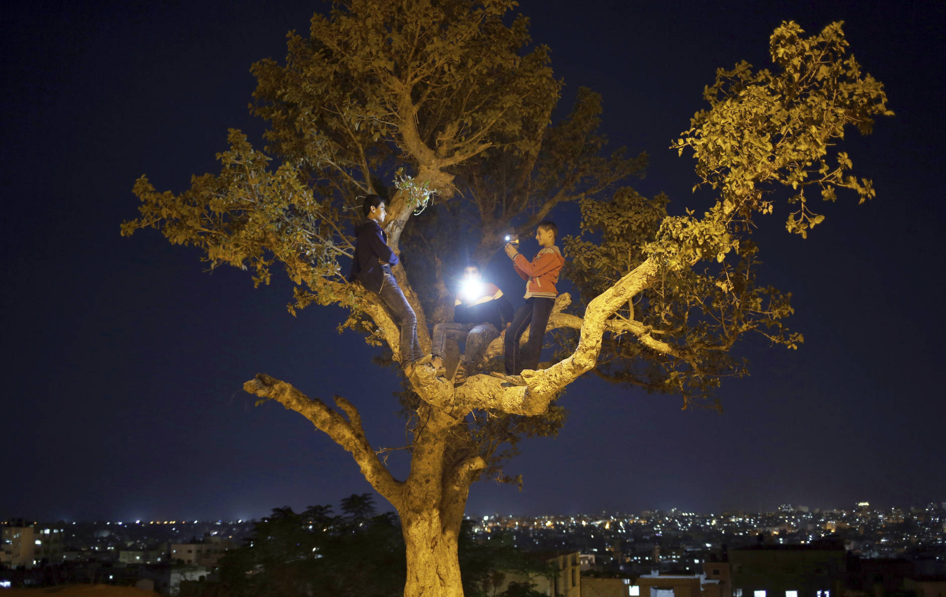 Palestinian boys use their mobile phones to take pictures as they sit on top of a tree watching the moon rises over Gaza in Monday, Nov. 14, 2016. The brightest moon in almost 69 years lit up the sky, during its closest approach to earth as the "Supermoon" reached its most luminescent phase. The moon won't be this close again until Nov. 25, 2035. (AP Photo/ Khalil Hamra)