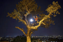 Palestinian boys use their mobile phones to take pictures as they sit on top of a tree watching the moon rises over Gaza in Monday, Nov. 14, 2016. The brightest moon in almost 69 years lit up the sky, during its closest approach to earth as the "Supermoon" reached its most luminescent phase. The moon won't be this close again until Nov. 25, 2035. (AP Photo/ Khalil Hamra)