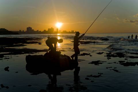 Inventive Cubans hunt expensive fish using inflated condoms